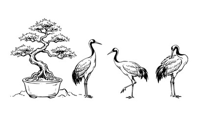Naklejka premium Bonsai Tree and Japanese Crane Birds Traditional Hand Drawn Ink Vector