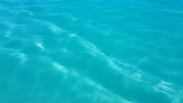 crystal clear turquoise ocean water surface, sunlight dappling the depths, serene tropical seascape, perfect for vacation branding or calm background visuals