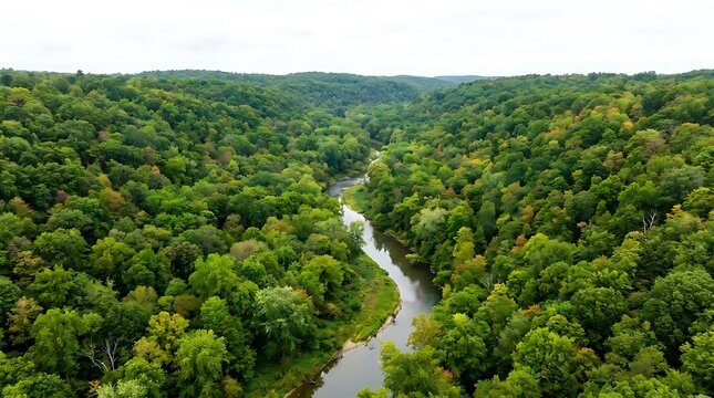 An aerial view of the lush Turkey conservation area featuring a meandering river flowing through dense forest scenery during a summer afternoon