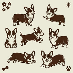Fototapeta premium corgi-dog-poses-vector-art