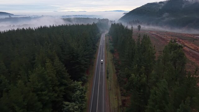 Aerial view above an empty highway between pine forest with a white van driving through revealing a distant cleared logging site