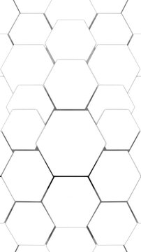 honeycomb vector