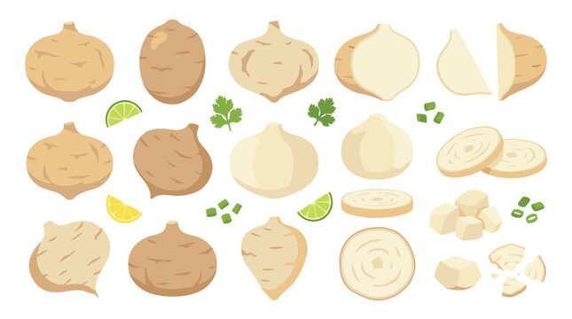 Set of jicama roots, sliced segments and chopped pieces with lime and herb garnish, organic vegetable collection, cooking ingredients for healthy