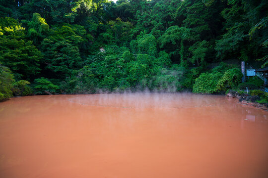 別府の人気観光地の血の池地獄