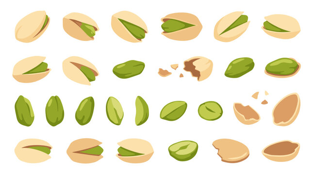 Set of isolated pistachio nuts in shell and peeled kernels, healthy organic snack collection, detailed food ingredient for culinary projects