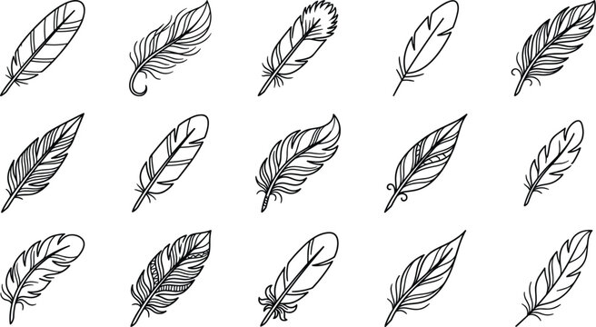 Bird feather hand drawn line art icon set featuring various realistic plume shapes lightweight quill pen and decorative wings vectors