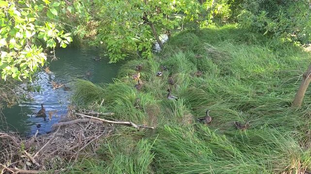 water flowing into the river