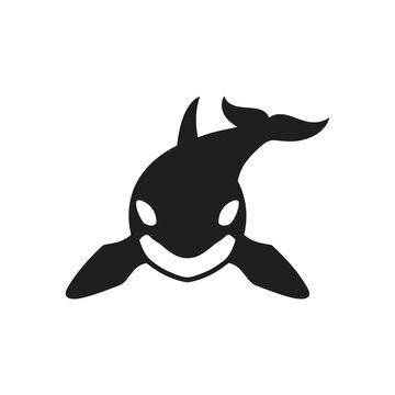 Killer whale orca swimming front view vector logo icon