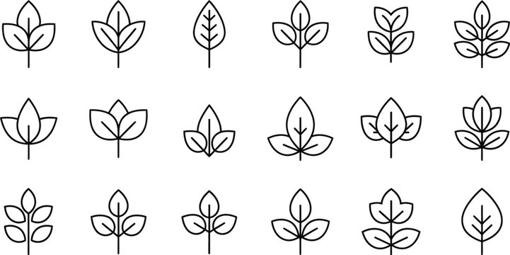 Collection of small leaf and twig contour icons in a grid layout with line art