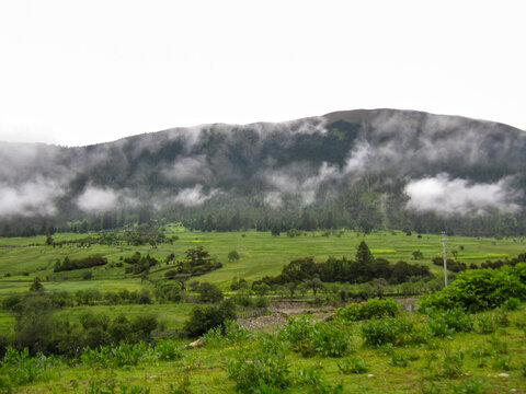 Misty green mountain landscape with lush vegetation and rolling hills