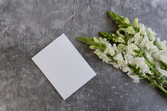 White flowers rest beside a blank card on textured gray surface. Soft petals curve gently with green stems and buds. Simple arrangement suggests quiet, thoughtful, or romantic sentiment