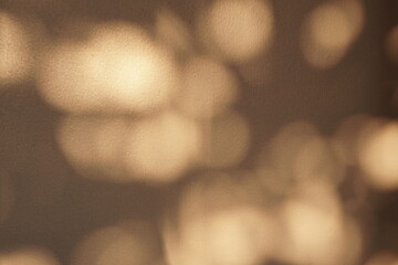 Fototapeta premium Natural Warm Sunlight Leaf Shadows on Beige Textured Wall Background