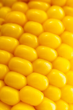 Close-up of yellow corn kernels on a cob
