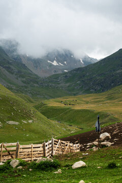 Mountain valley landscape with wooden fence and horses