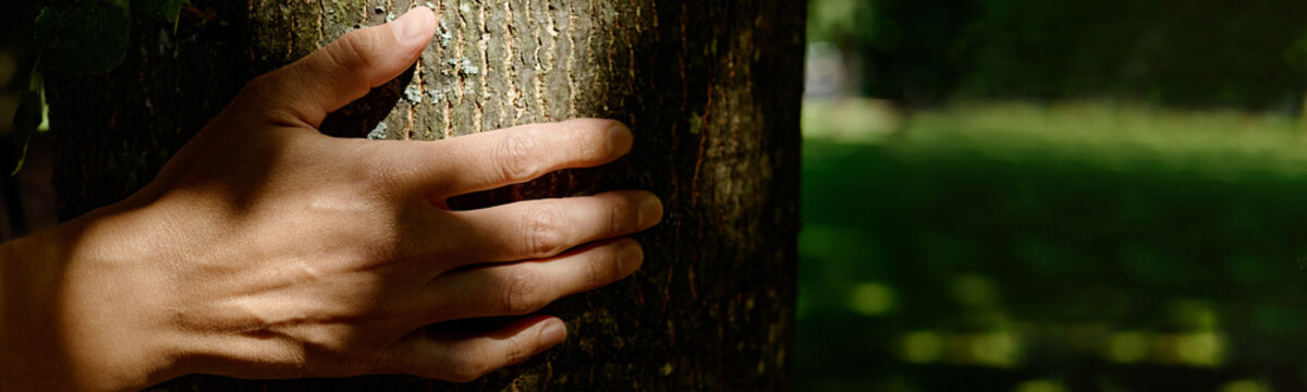 Close up header of Caucasian woman hand touching tree trunk in park, practicing ecotherapy and mindfulness, representing mental wellbeing and nature therapy, ideal for wellness marketing