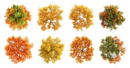 Obraz premium PNG Top view of vibrant autumn trees in various colors, transparent background