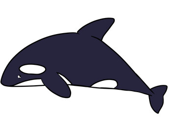 killer whale illustration シャチ　イラスト © 夢眺