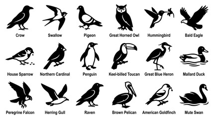 Naklejka premium Vector bird silhouette collection featuring various avian species icons set isolated on white background