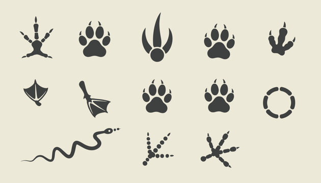 Selection of diverse animal paw prints bird feet webbed tracks and a slithering snake trail in simple black silhouettes.