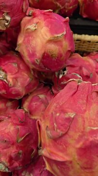 Vertical Video of Hand gently touches a vibrant pink dragon fruit. Fuzzy, scaley skin covers the round, sweet fruit. Bright red hues contrast with soft yellow undertones. The hand suggests a fresh, tr