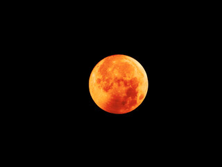 Obraz premium Close up of blood moon. It is an astronomical event that occurs when the Moon orbits through Earth's shadow.‍