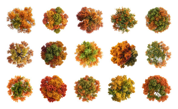 PNG Colorful autumn tree tops from above in various shades on transparent background