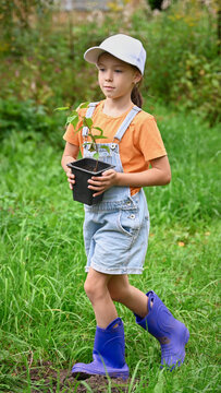 The girl in the white cap is holding a seedling in a pot in her hands.