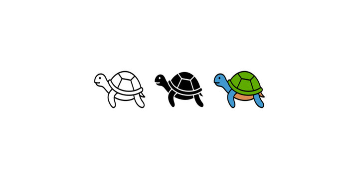 Three different styles of turtle illustrations, including outline, solid black, and colored versions, suitable for educational materials.