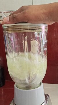 Blending Fresh Green Leaves in Electric Blender Pitcher