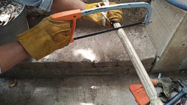 Right Hand Cutting Bamboo Cane with Manual Hacksaw