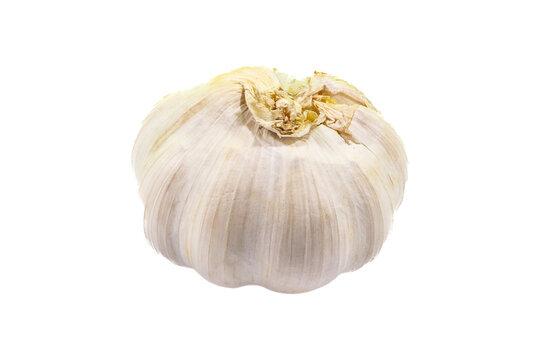 Single whole garlic bulb with papery white skin and dried roots, isolated on a plain white background, close-up view of vegetable texture