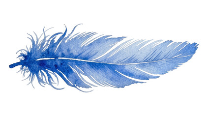 Delicate blue watercolor feather with fine wisps, isolated on transparent background © PNGera