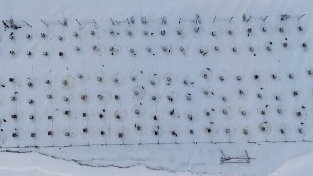 Top down push in over a snow covered sled dog kennel yard in Svalbard, symbolizing resilience, discipline, and daily life in the remote Arctic wilderness