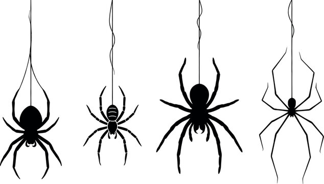 Hanging Spider Silhouette Vector Set on Web Thread for Halloween Decoration and Spooky Insect Design Elements