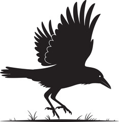 Naklejka premium A detailed black silhouette illustration of a crow bird in motion as it begins to take flight from the grass.