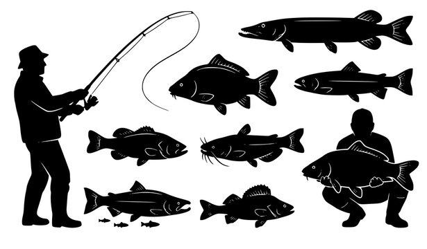Fishing angler silhouette collection with spinning rod caught fish and diverse freshwater fish species vector set
