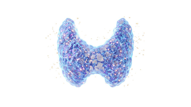 Luminous blue thyroid gland illustration, anatomical human organ with glowing particles, medical endocrine system concept on white background