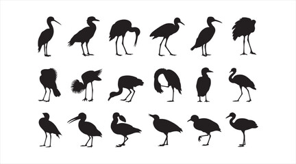Naklejka premium Various bird silhouettes isolated on white background