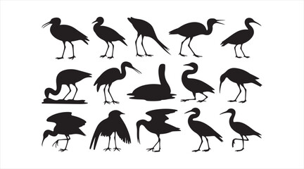 Naklejka premium Set of bird silhouettes in different poses