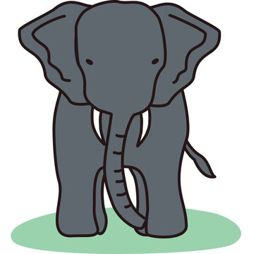 Elephant Front View