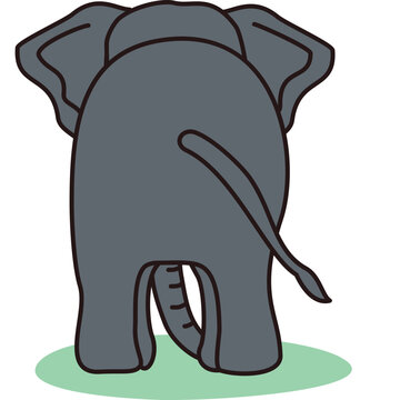 Elephant Back View