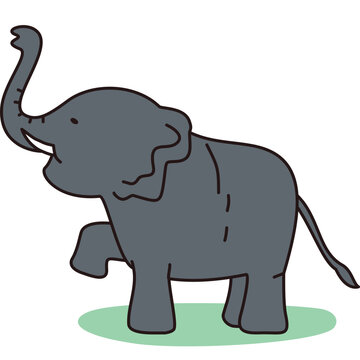 Elephant Lifting Trunk