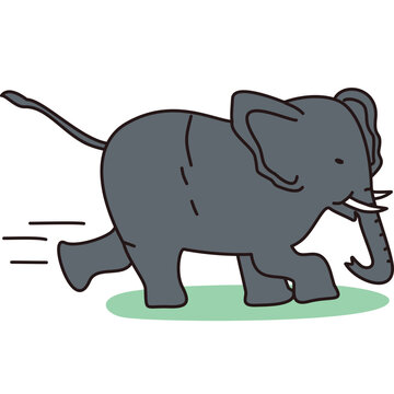 Elephant Running