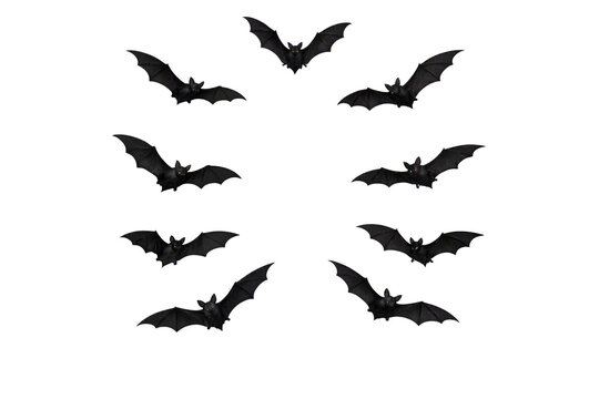 Flying bats circle frame isolated PNG, swarm of black bats flying in ring on transparent background, halloween party decoration