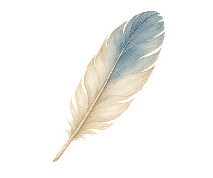 Soft Blue Watercolor Feather Illustration
