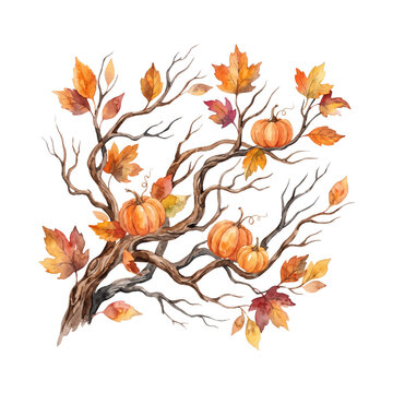 Watercolor autumn tree branch with hanging pumpkins and colorful fall leaves. A hand-drawn rustic Thanksgiving harvest floral illustration isolated on a transparen background PNG for seasonal clipart.