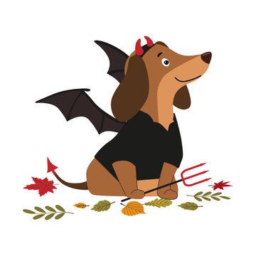 Cute dachshund dog wearing devil wings, horn headband and holding pitchfork with autumn leaves isolated on white background vector illustration. Great for spooky Halloween pet art and stickers.