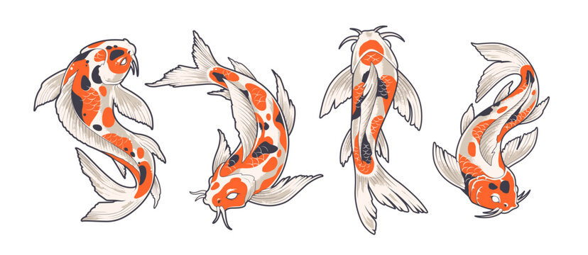 Set of oriental tattoo style koi fish illustration isolated on white