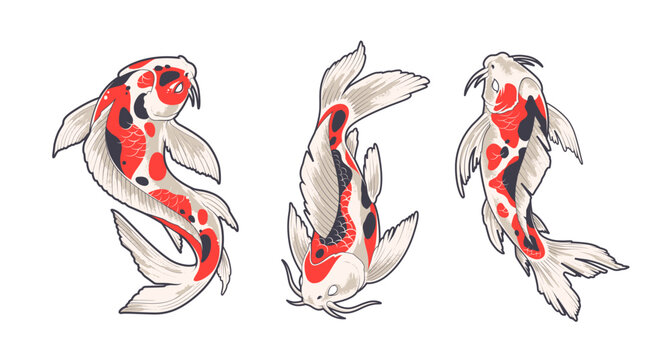Set of oriental tattoo style koi fish illustration isolated on white