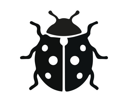 Black silhouette of a cute ladybug insect with spots isolated on white background silhouette isolated wildlife